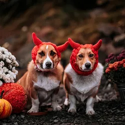 Disfraz perro diablo rojo con gorro y redecilla – Halloween e invierno