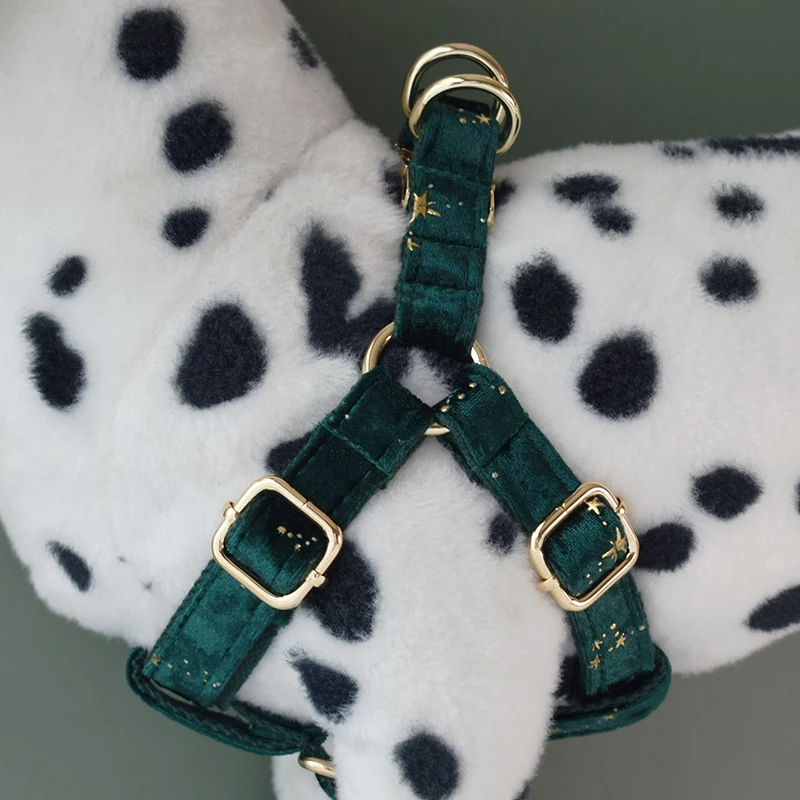 Green Harnes Collares de identificación personalizados para cachorros, logotipo grabado gratis para perros pequeños, medianos y grandes, American Cocker Spaniel Star 04 - imagen 5