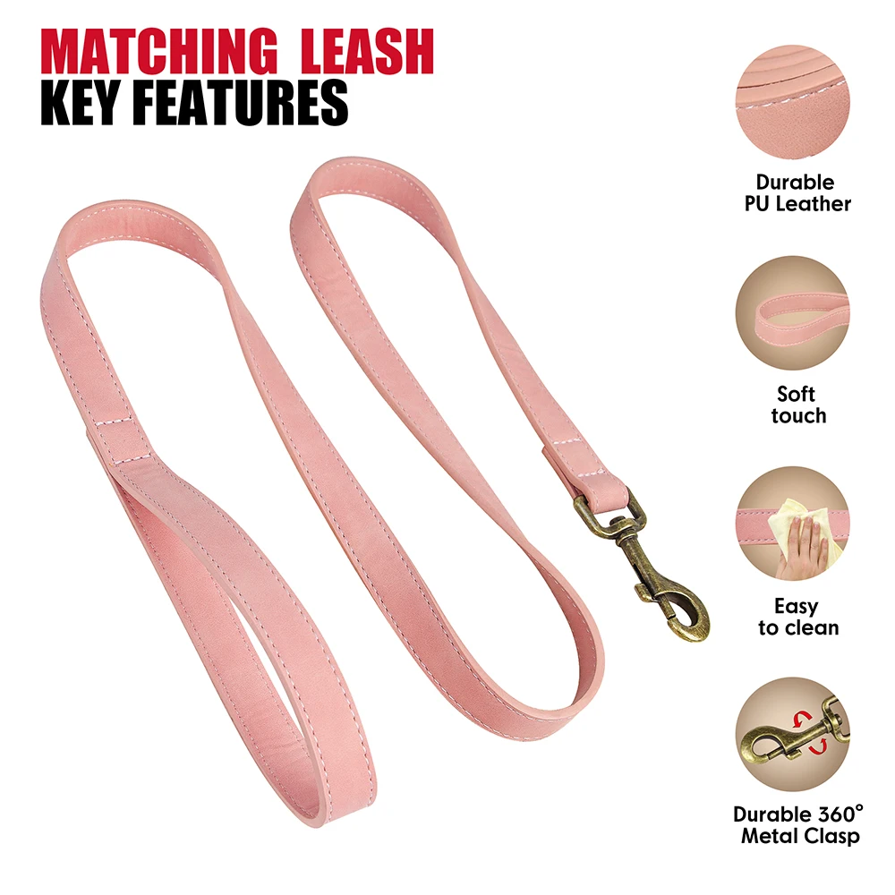 Pink Leash