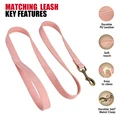 Pink Leash
