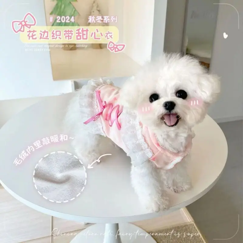 Abrigo de encaje dulce para otoño/invierno para mascotas, falda, abrigo para gatos de otoño/invierno, ropa para cachorros de peluche pequeños, ropa para perros pequeños - imagen 2