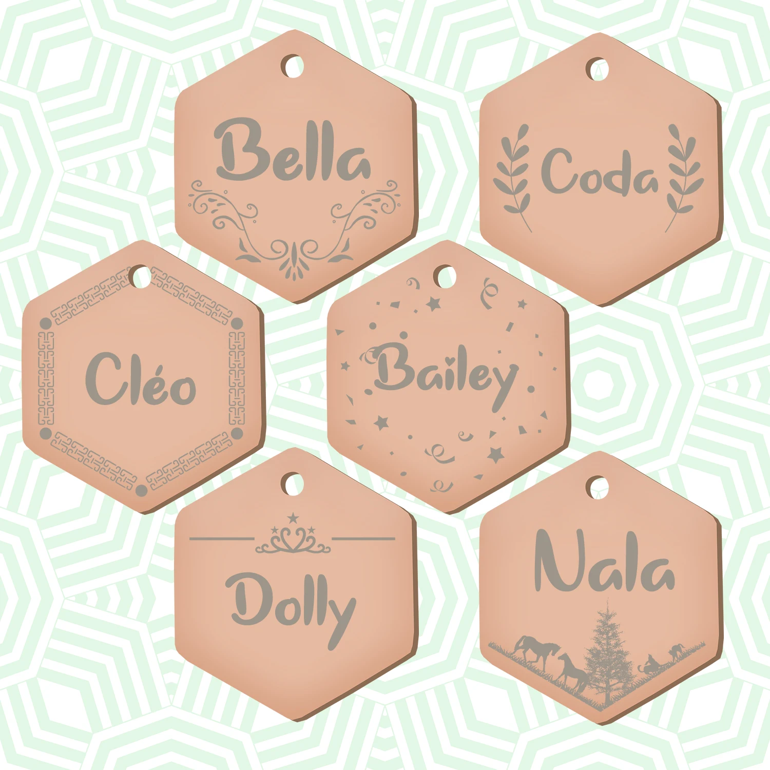 Placa identificación colgante para perros y gatos - imagen 5