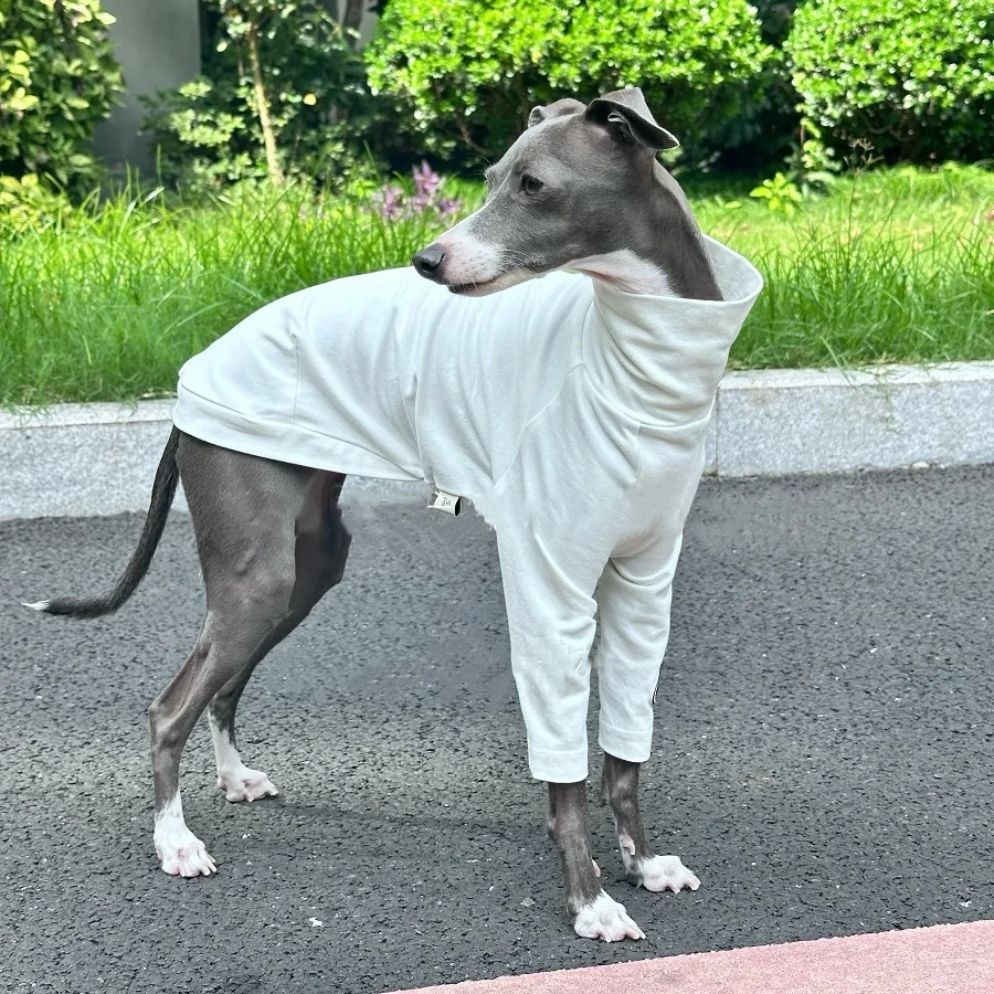 Mono blanco de algodón suave para perros medianos, camiseta interior de manga larga para Bedlington Little Greyhound, pijamas de cuello alto para caniche - imagen 4