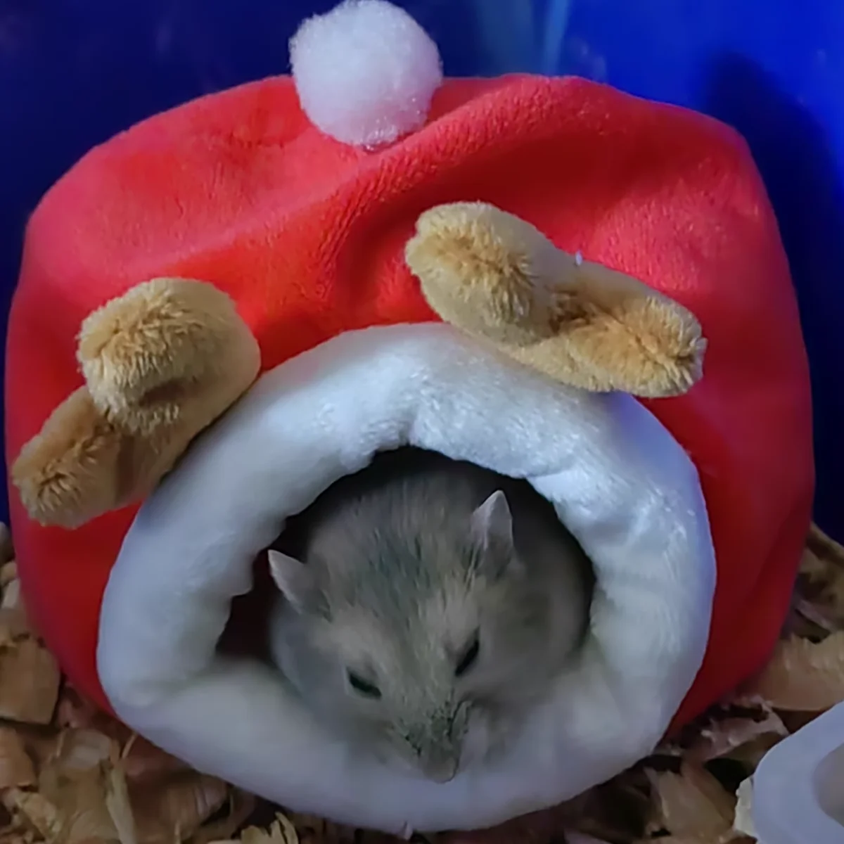 Nido cálido de hámster con diseño de astas de ciervo navideño, adecuado para animales pequeños, casa pequeña navideña con alfombrillas desmontables - imagen 4