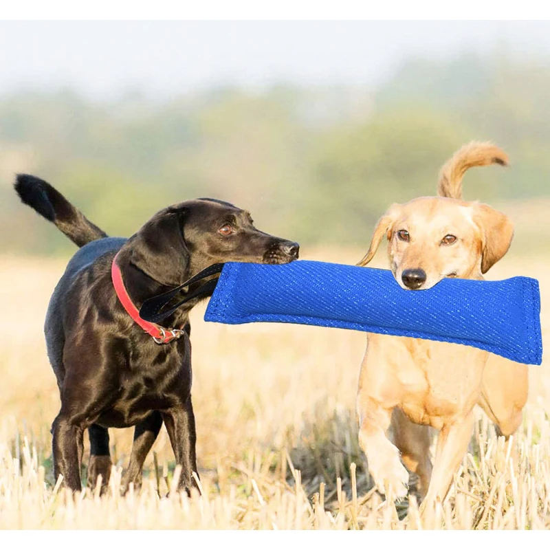 Tela resistente a las roturas para entrenamiento de perros, palo para morder para perros, objetivo para morder, juguete para morder para perros - imagen 5
