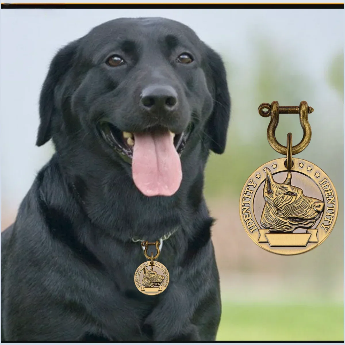 Etiqueta de identificación de mascotas grabada personalizable VIP para perros y gatos, etiquetas de placa de identificación de Collar de perro con número de dirección personalizado, colgante de identificación - imagen 3