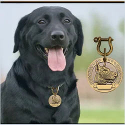 Placa identificación personalizada VIP perros y gatos – Bronce grabada