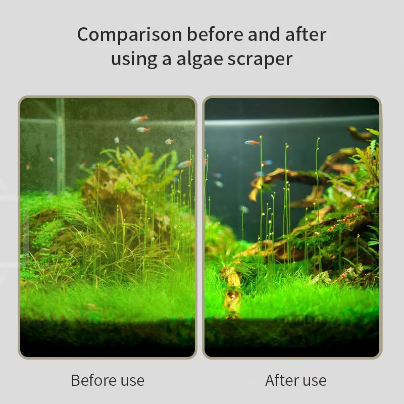 Cepillo para pecera, cepillo de mango largo, cepillo de limpieza de doble cara, herramientas de limpieza de acuario - imagen 4