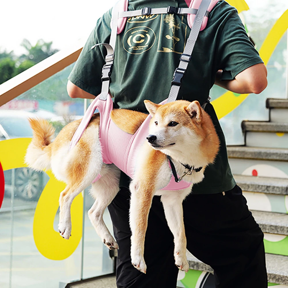 Mochila Horizontal transpirable para perros pequeños y medianos, bolsa de transporte cómoda para cachorros, Poodle, Shiba Inu, Pug, accesorios para mascotas - imagen 3