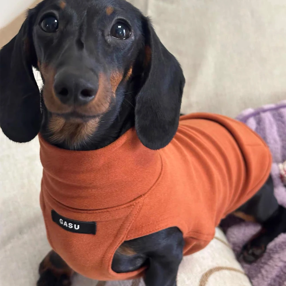 Chaleco de algodón cómodo para perros salchicha – entretiempo