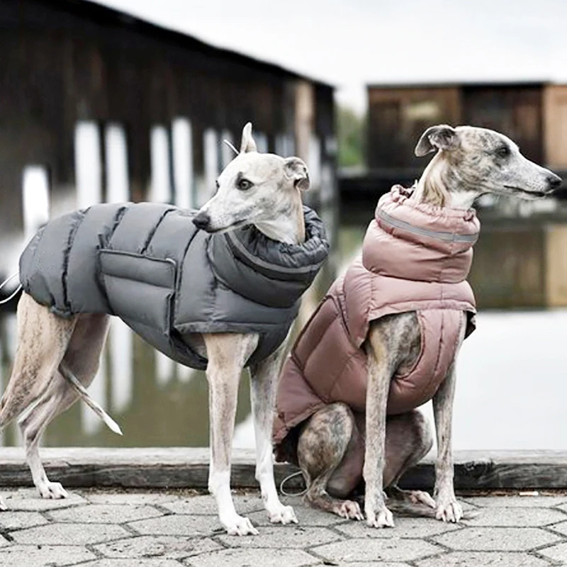 Ropa para perros, chaqueta gruesa impermeable a prueba de viento para mascotas, ropa cálida de invierno para Chihuahua, trajes de Bulldog Francés, Parka para perros grandes