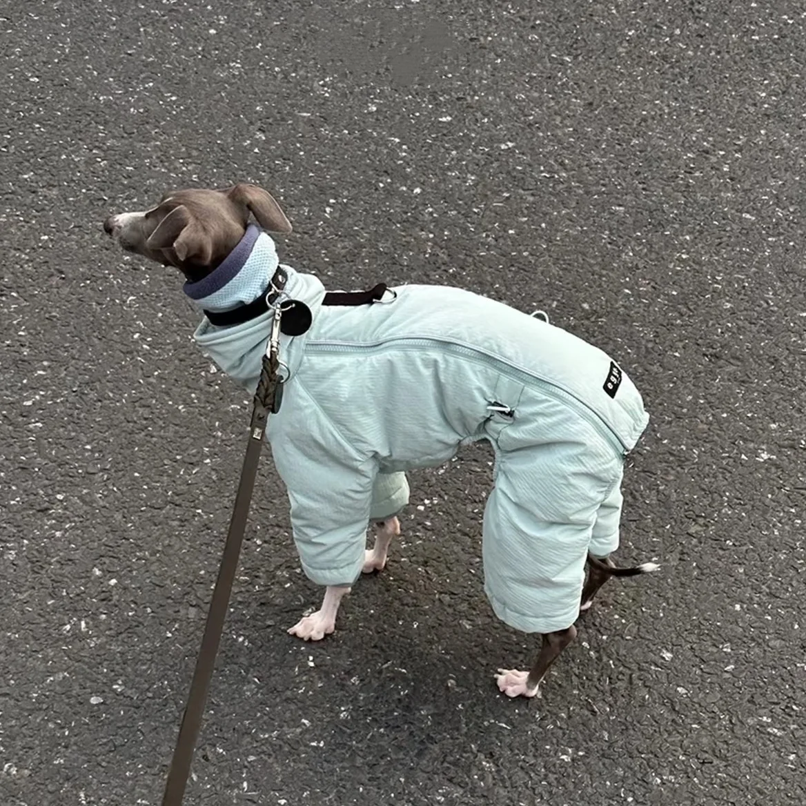 Abrigo grueso y cálido para perros medianos en invierno, chaqueta de café impermeable a prueba de viento, bufanda de lana, traje para Bedlington en clima frío