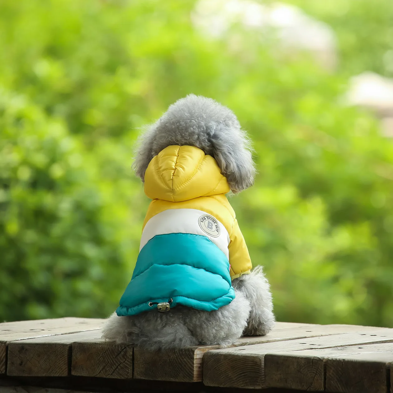 Chaleco para mascotas, suministros para mascotas, ropa de invierno, ropa gruesa acolchada de algodón de dos patas, ropa cálida multicolor opcional para perros al aire libre - imagen 3