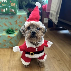 Disfraz navideño para perros y gatos - Papá Noel divertido