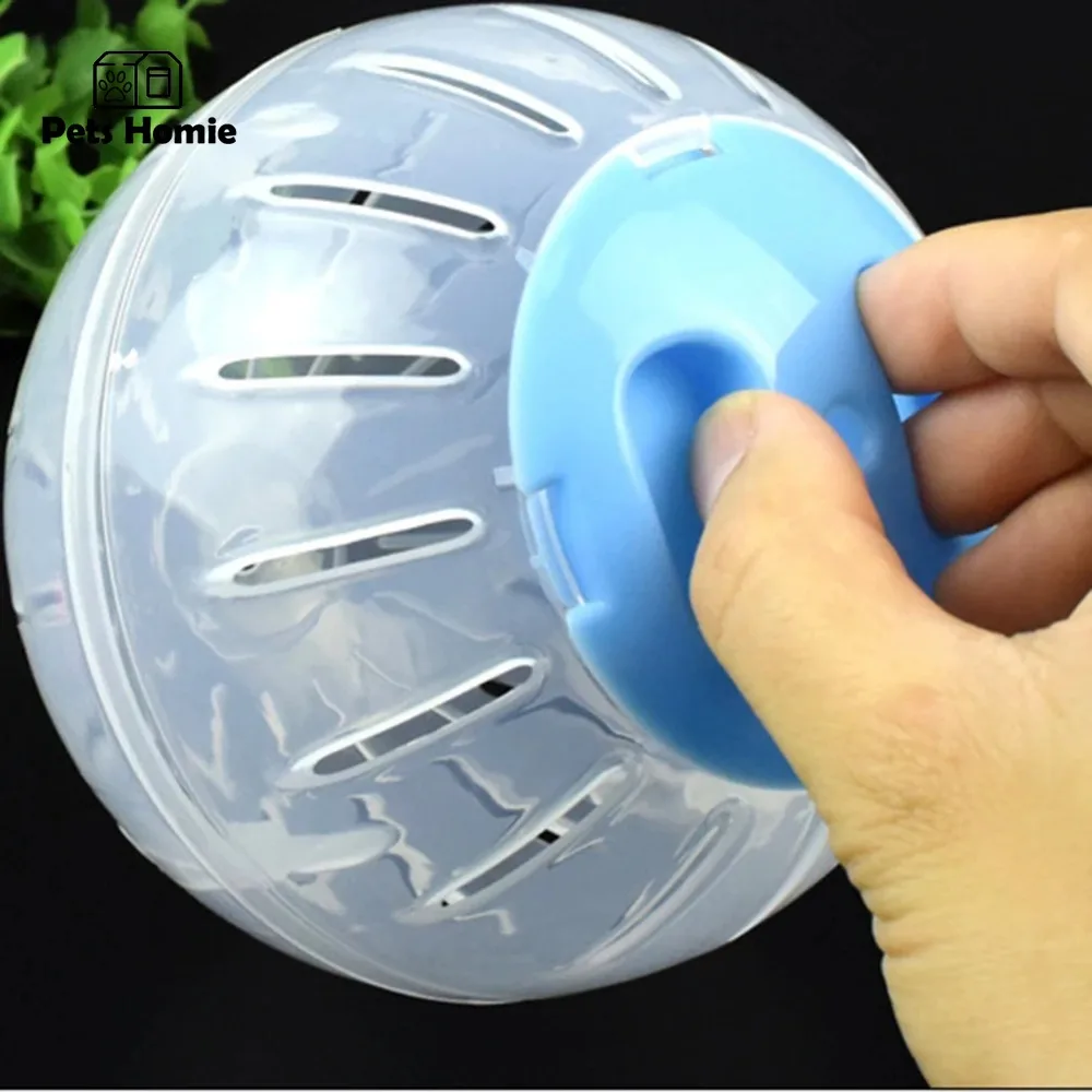 Pelota deportiva para hámster, accesorio de juguete para hacer ejercicio, trotar, correr, rata, roedores, mascotas pequeñas, 10/12cm - imagen 3