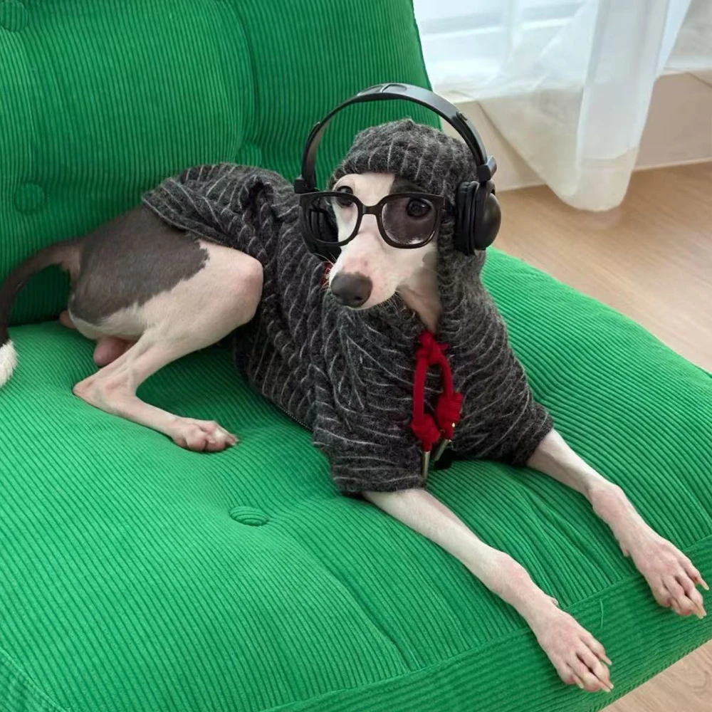 Sudadera con capucha a rayas para galgo italiano, abrigo cálido de otoño e invierno, disfraz de manga larga para perros pequeños Whippet - imagen 3