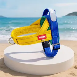 Arnés para perros acolchado sin chafe con correa: correas anchas y diseño de bloques de color para caminar al aire libre seguro y cómodo