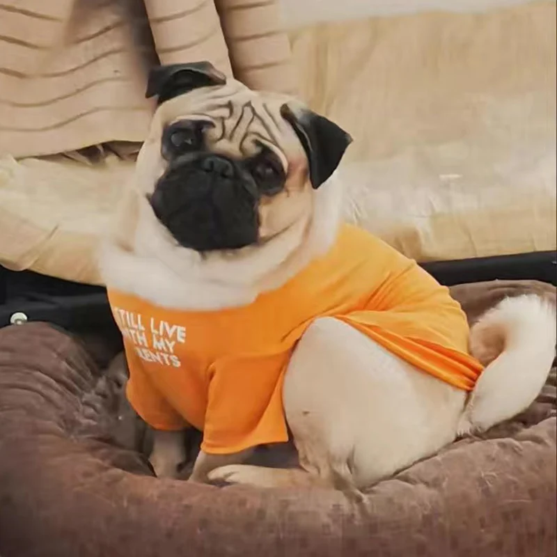 Camiseta con estampado bonito para perros pequeños, ropa para mascotas, camisetas Schnauzer Pug, sudadera, disfraz para mascotas, primavera y otoño - imagen 5