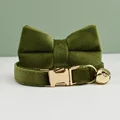 bow tie collar