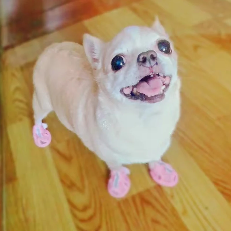 4 Uds. Sandalias de malla de verano para mascotas, zapatos antideslizantes para perros pequeños, suela de tendón de vaca, zapatillas para cachorros, accesorios para Chihuahua mascotas - imagen 4
