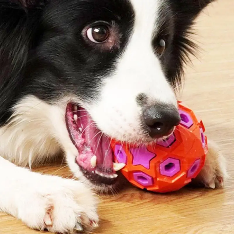 Pelota de goma resistente para perros, juguetes para masticar, entrenamiento de lanzamiento al aire libre, suministros para mascotas - imagen 4