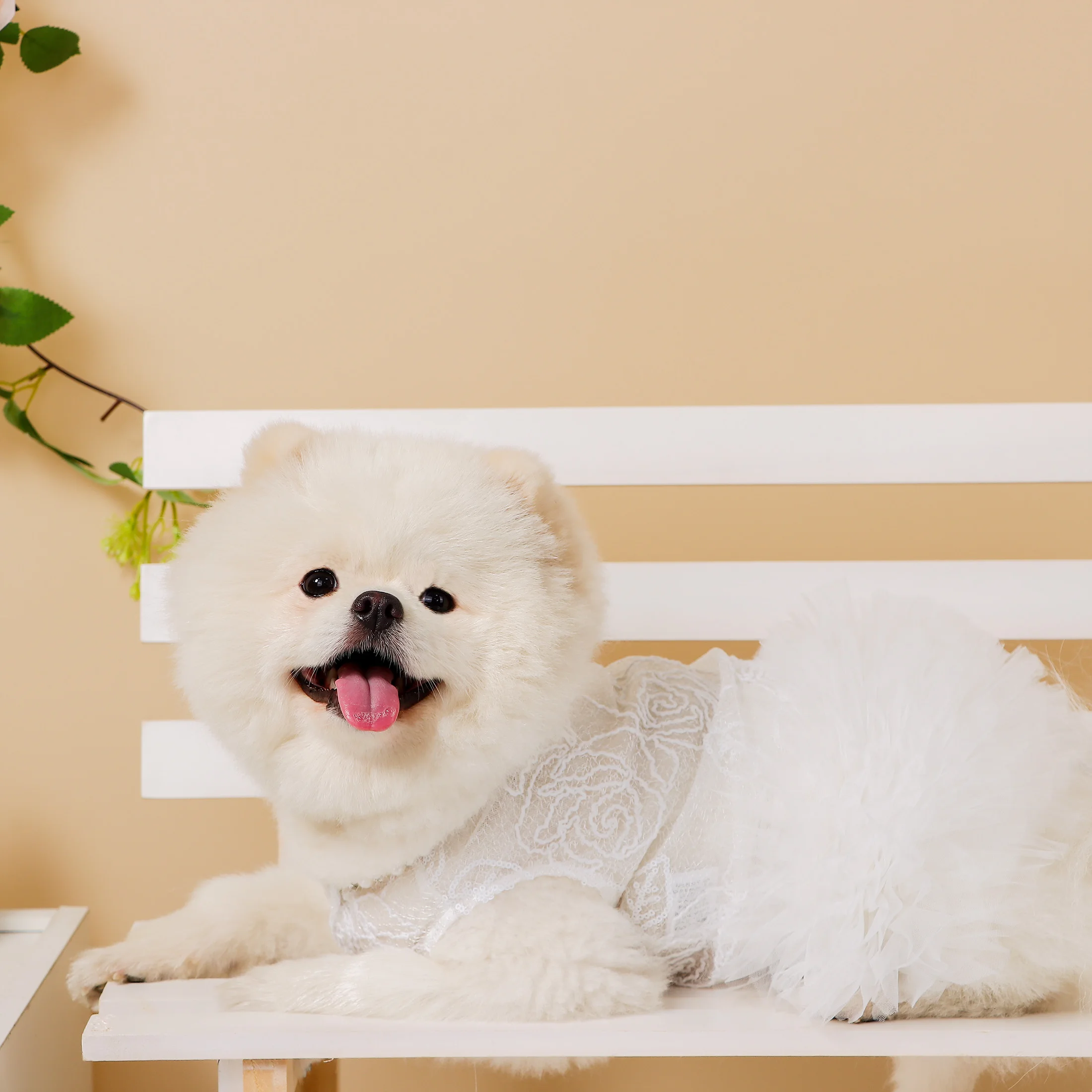 Vestido blanco para perros, falda de encaje y perlas de lujo para cachorros, ropa para perros, vestidos de princesa, vestido clásico de boda, falda tutú para perros pequeños y gatos - imagen 4