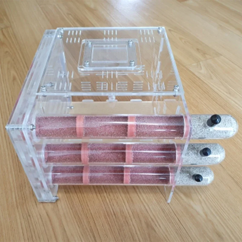 DIY acrílico granja de hormigas ecológico 3 tubos de ensayo de bambú nido con área de alimentación casa de hormigas pueblo mascota antill taller nido de hormigas Castillo - imagen 4