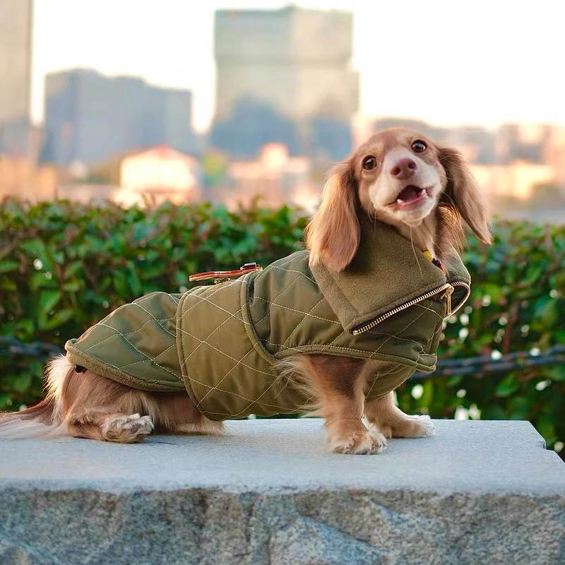 Abrigo verde militar elegante para perros salchicha, abrigo de invierno para perros Wiener, capa cálida a prueba de viento para perros pequeños, medianos y grandes - imagen 2