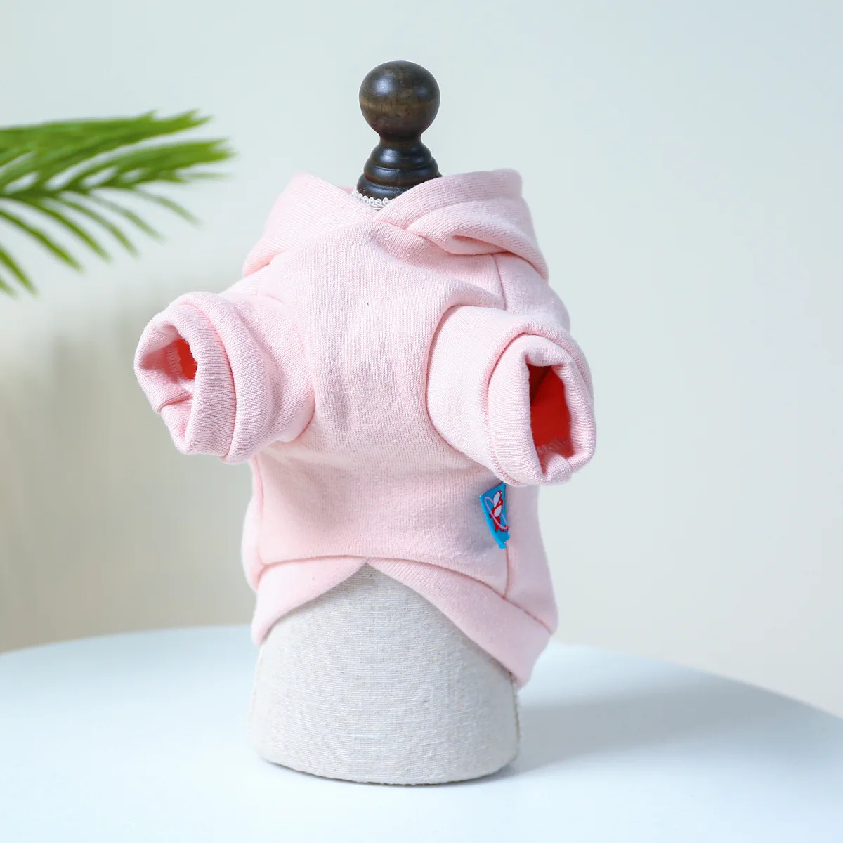 Sudaderas con capucha para cachorros y gatos, jerseys para mascotas, ropa Sphynx, disfraz de gatito, ropa para gatos pequeños, Otoño e Invierno - imagen 2