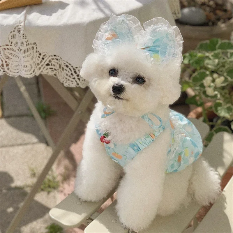 Ropa de encaje azul para perros, vestido azul con estampado Floral, vestido de lujo con botones de perlas y tocado para perros pequeños, ropa para cachorros