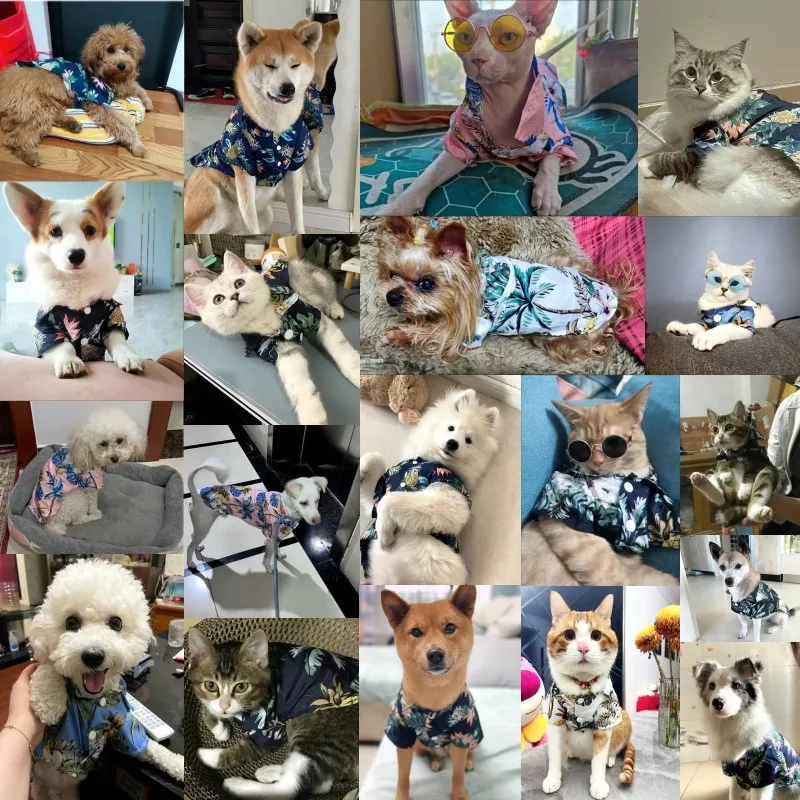 Camisa de moda para perros, ropa para perros de estilo playero hawaiano de verano, camisa fina estampada para cachorros, chaleco transpirable para gatos, ropa para mascotas Chihuahua - imagen 2