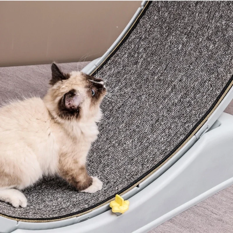 La nueva cinta de correr para gatos es silenciosa y no se obtiene juguete para gatos marco de escalada plástico Fitness deportes gatos rueda para correr - imagen 4