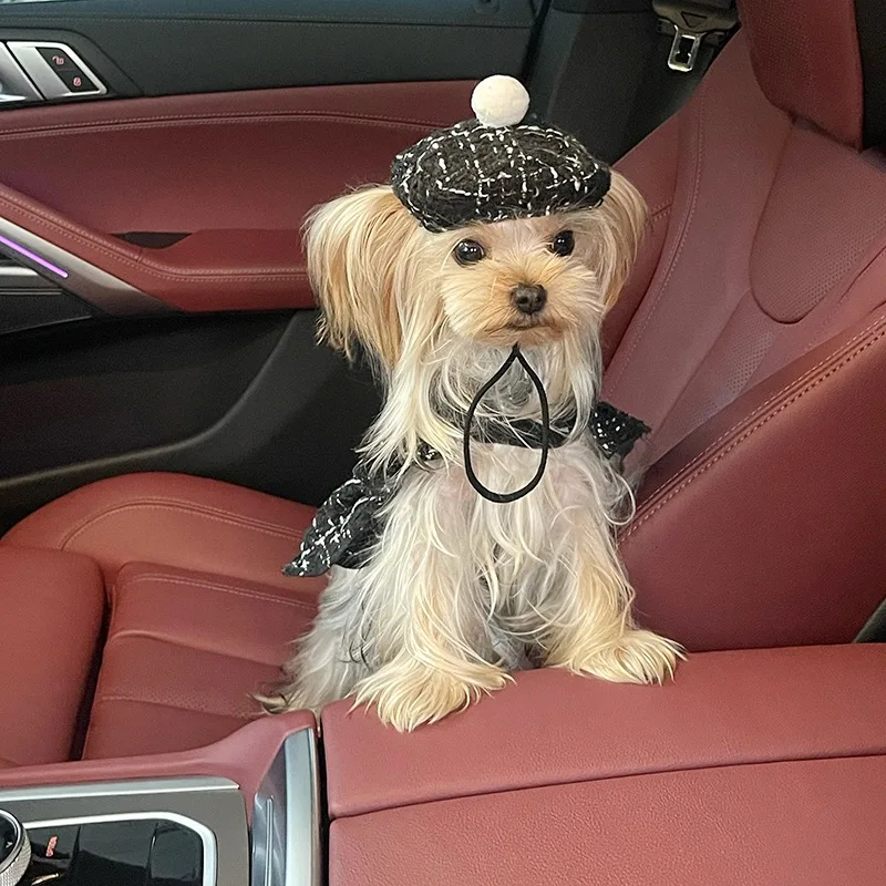 INS-vestido para mascotas, correa de tracción para perros, arneses con cuerda, para el pecho y la espalda - imagen 3