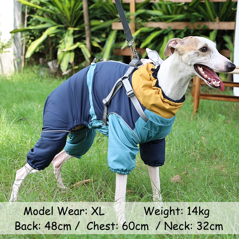 Ropa cálida de invierno para perros, jersey repelente al agua para perros pequeños, medianos y grandes, bonita aleta de tiburón, monos para perros de nieve, abrigo para mascotas con arnés - imagen 5