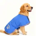 blue two-way wear