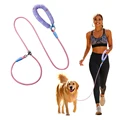 Dog Leash