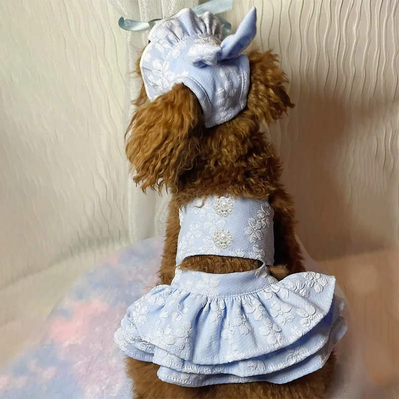 Ropa de primavera para mascotas, mono, vestido bordado de princesa para gatos, sombrero, cumpleaños, perro pequeño, oso de peluche, ropa para mascotas - imagen 2