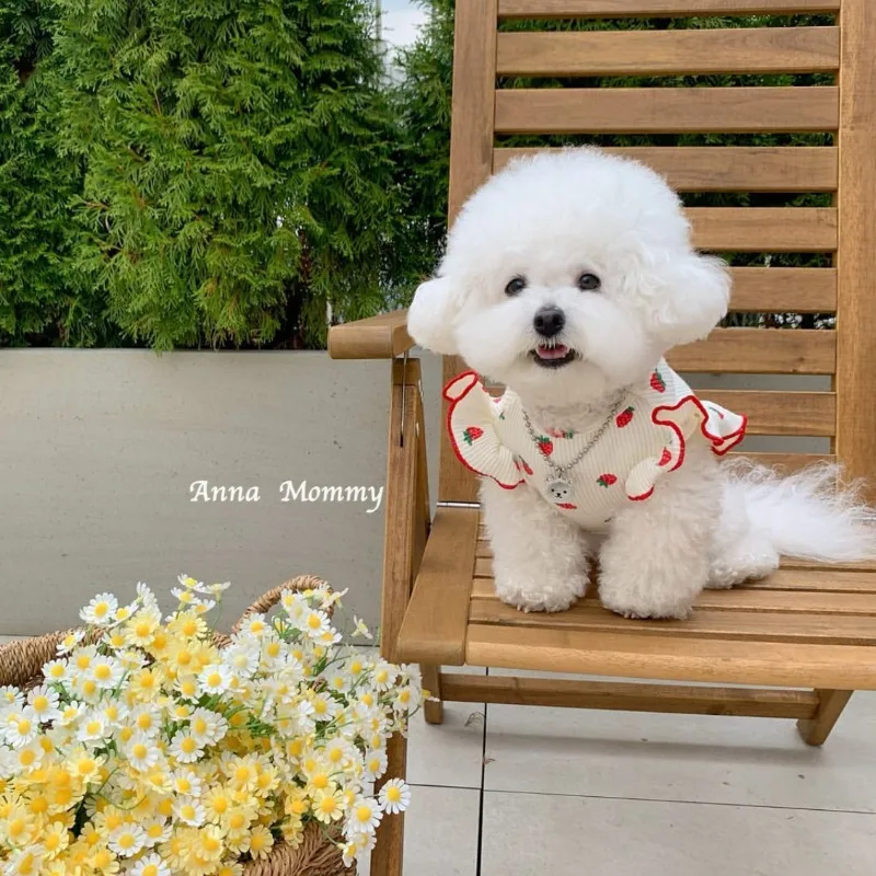 Chaleco verano con diseño fresa para perros pequeños - imagen 2