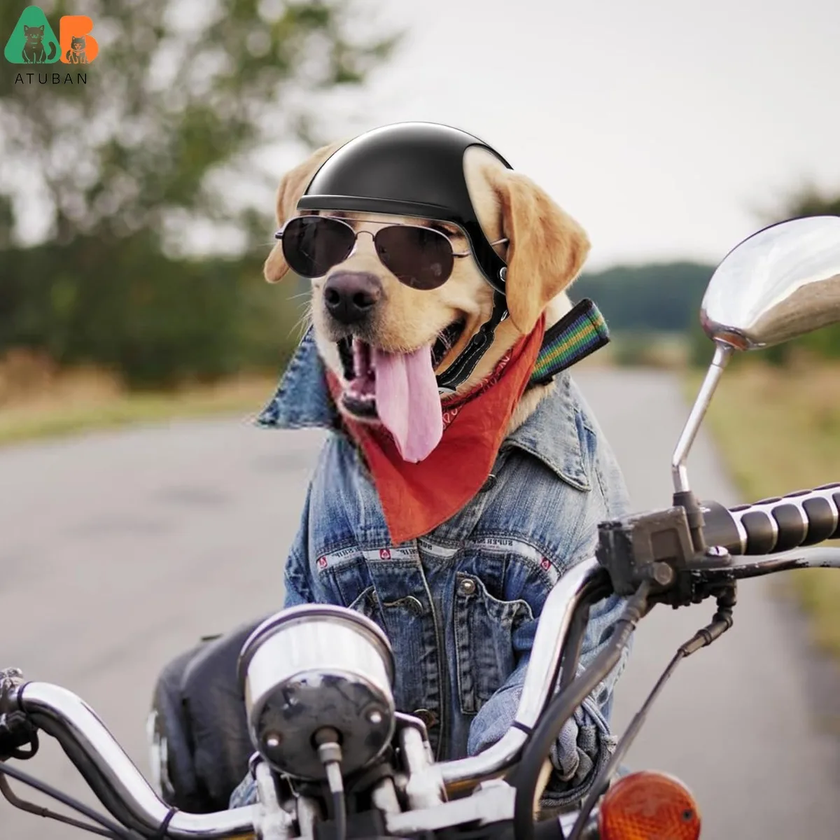 Casco para perro ATUBAN para todos los perros, casco de motocicleta para perros con orificios para las orejas, gorro de seguridad para perros, correa ajustable para conducir al aire libre
