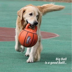 Bola masticable resistente para perros Golden Retriever y Labrador