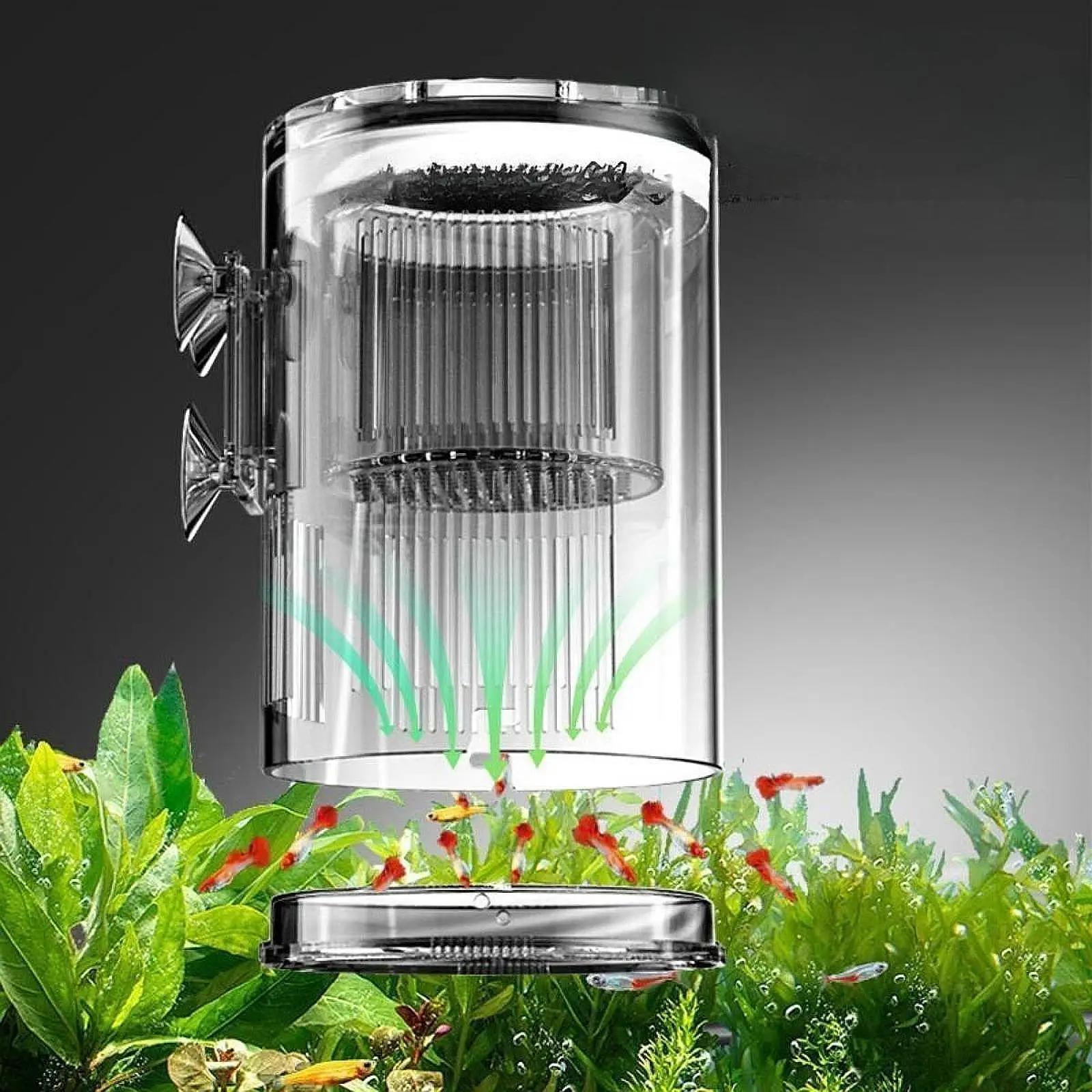 Caja de cría de peces, incubadora de pecera transparente para peces de bebé Betta Guppy - imagen 4