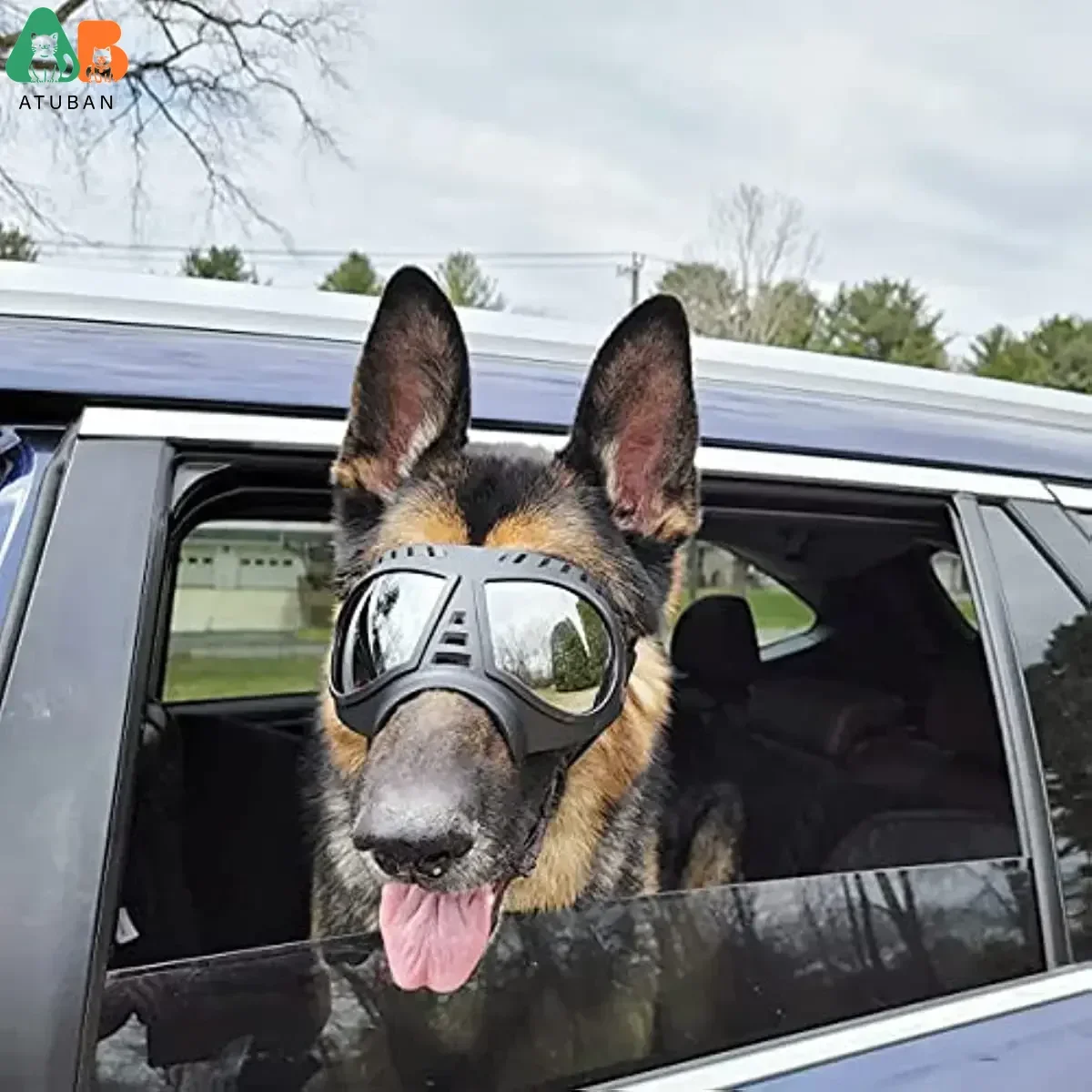 ATUBAN-gafas de sol de protección UV para perros, lentes de sol suaves de gafas para perros, a prueba de viento, antivaho, para perros grandes y medianos - imagen 5