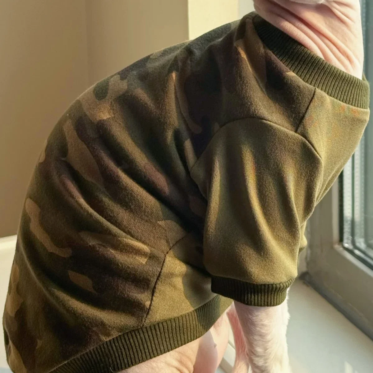 Camiseta camuflaje manga larga para gatos Sphynx y Devon Rex - imagen 5