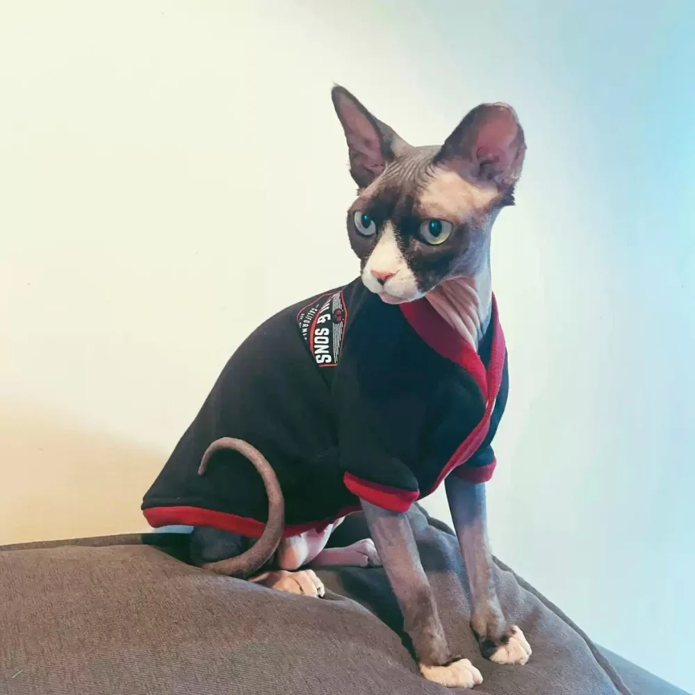 Abrigo de cárdigan de invierno raglán de manga larga de algodón cepillado negro rojo para sudadera del alfabeto de dibujos animados del gato Devon Rex Sphinx en primavera - imagen 3