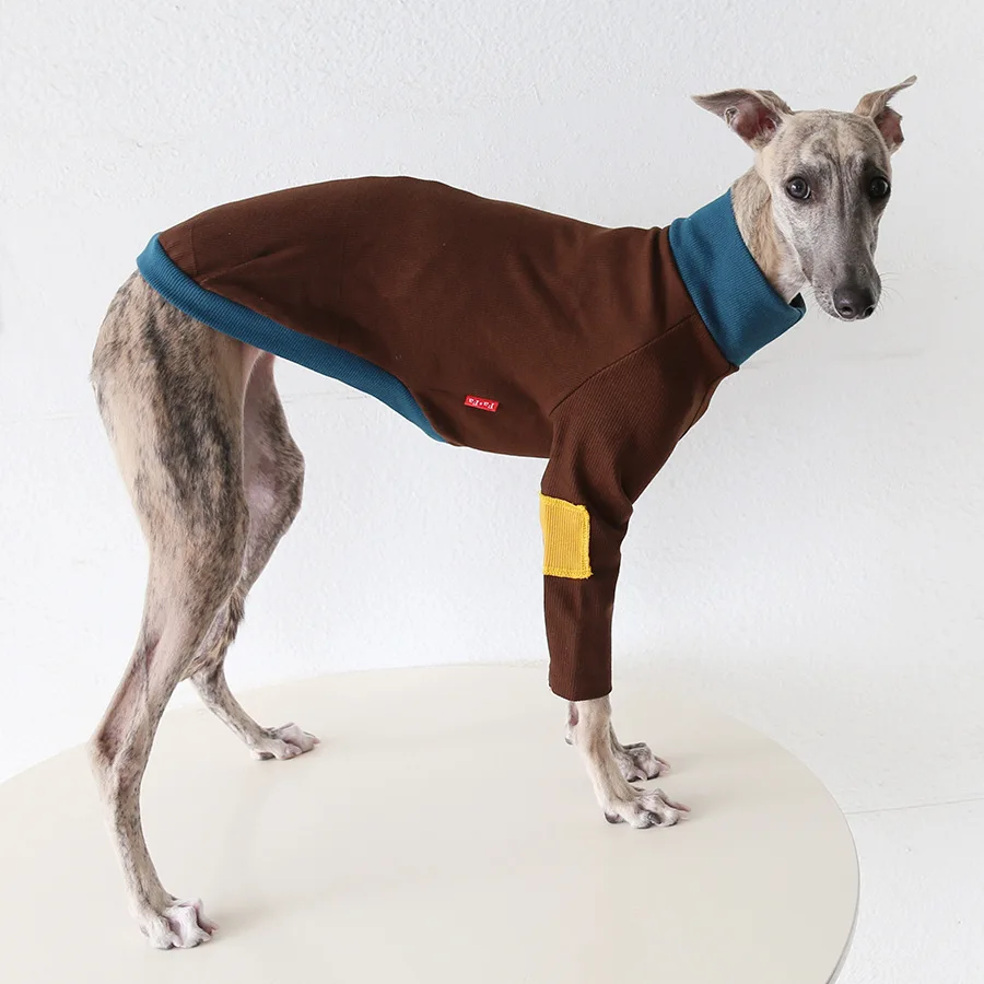 Suéter de punto de invierno para perros Whippet - Manga larga, cómodo - imagen 3