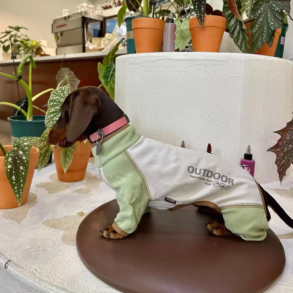 Abrigo lana verde para perro Dachshund – traje 4 patas - imagen 3