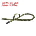 Green Dog Leash