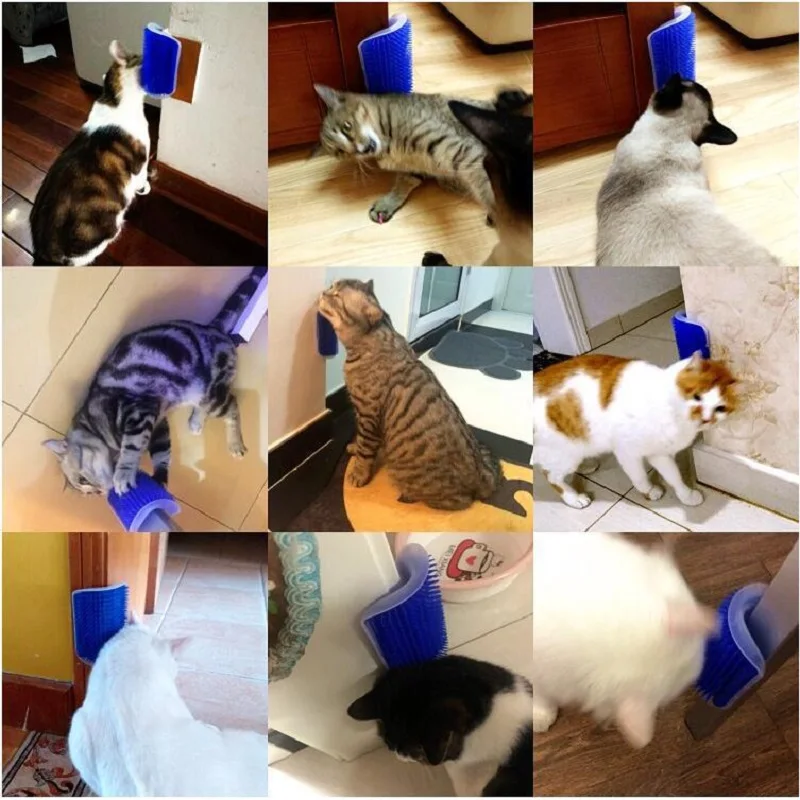 Masajeador rascador para gatos, cepillo para rascar mascotas, peine para quitar el pelo, mesa de aseo, cuidado de perros y gatitos, accesorios Royal Canin - imagen 2