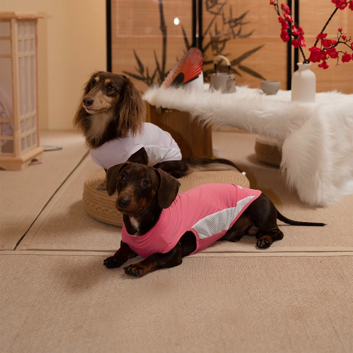 Traje ligero verano perro Dachshund transpirable fresco secado rápido - imagen 3