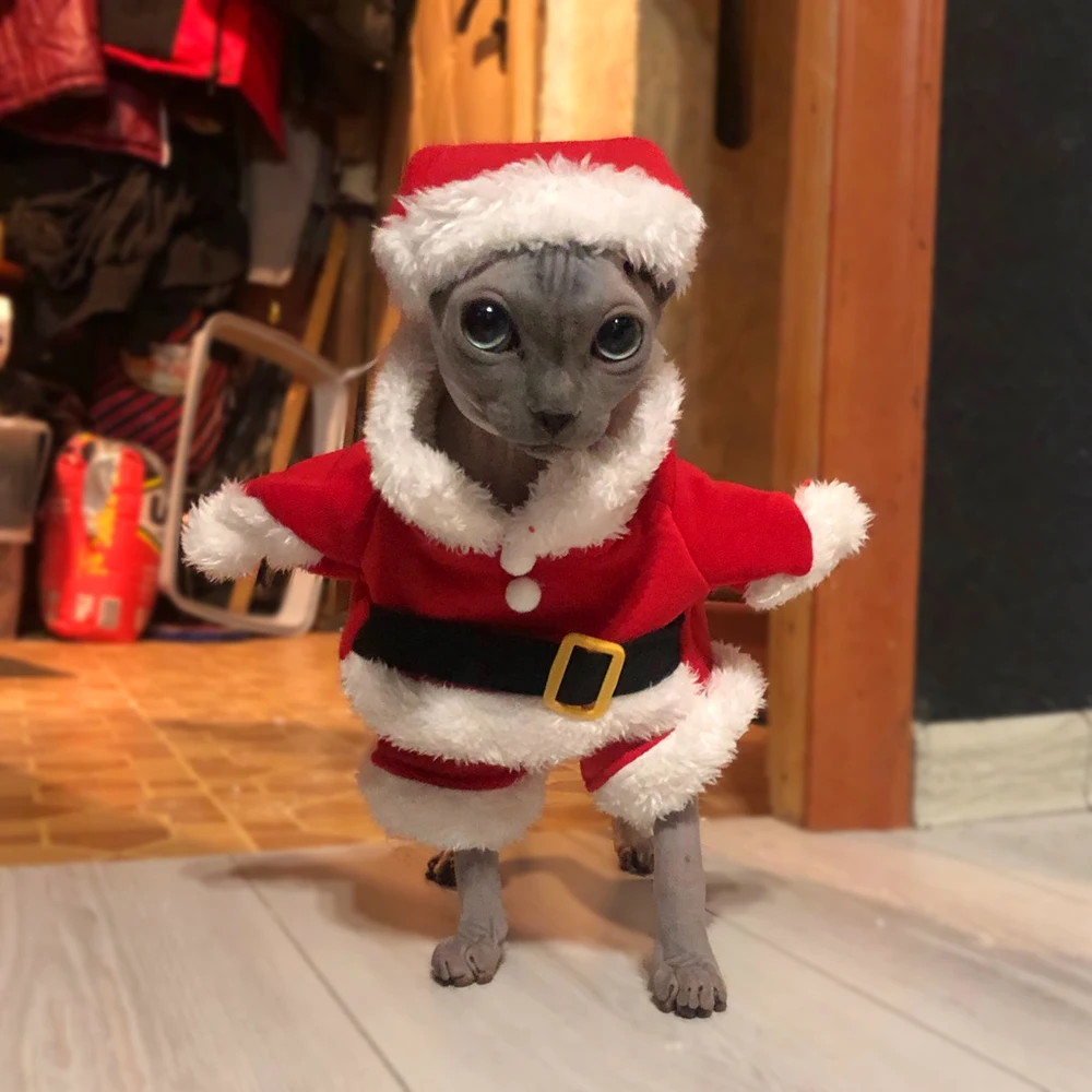 Ropa divertida de Papá Noel para Gato, disfraz de Navidad para gatos pequeños y medianos, conjunto de Cosplay de gatito, accesorios para fotos, trajes de fiesta
